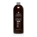 Philip Martin's COLOUR IT Silver 980ml
